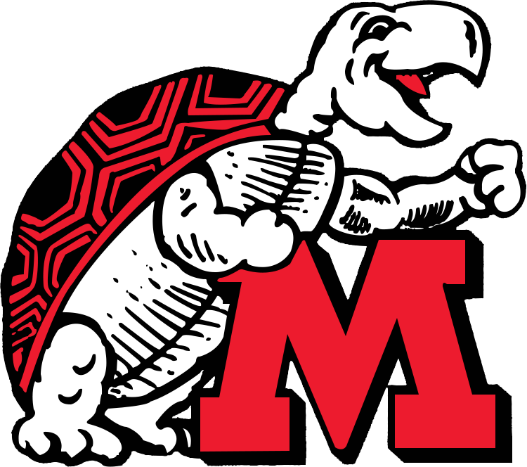 Maryland Terrapins 1970-1983 Primary Logo DIY iron on transfer (heat transfer)